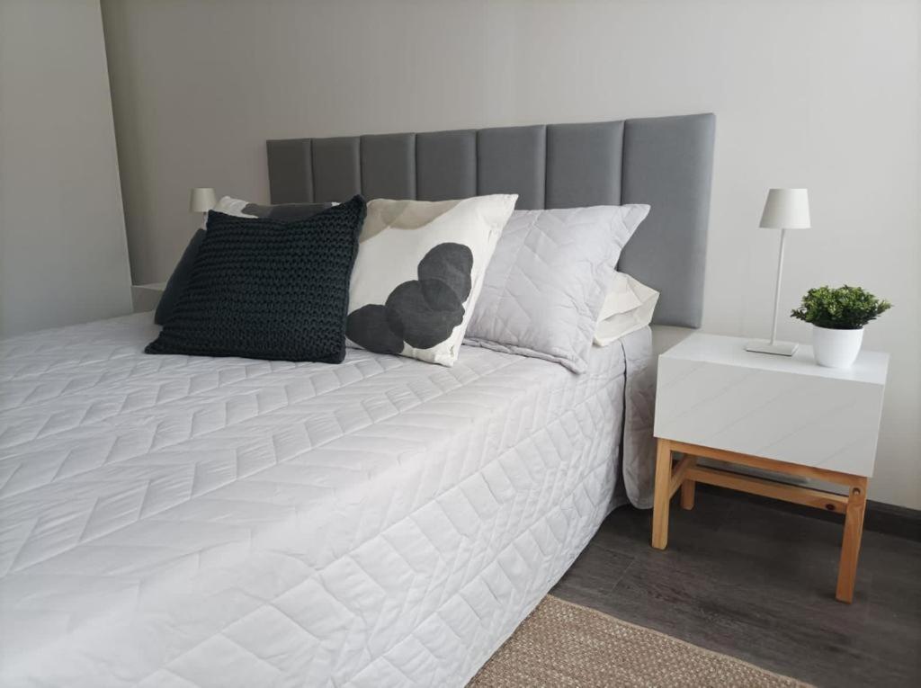 A Estrenar En Punta Carretas Apartamento